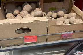 Как министр сельского хозяйства объяснил наличие поврежденной картошки в магазинах