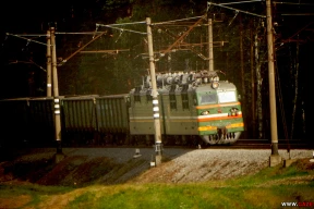 Как на БелЖД отреагировали на предложение сверху о замене беларуских железнодорожников мигрантами