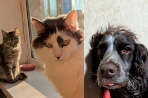 «Калі ўначы пачынаецца атака, то ў першую чаргу глядзіць на нас — рэагуем ці не»